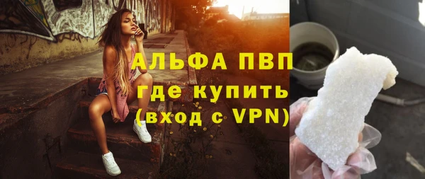 трава Белокуриха