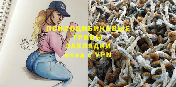 альфа пвп Володарск
