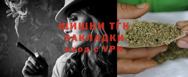 mix Ельня