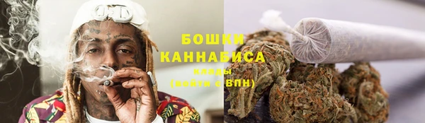 сатива Беломорск