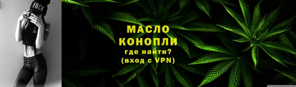 сатива Беломорск
