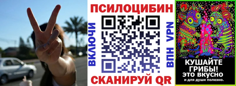 МЕГА как зайти  Магас  Псилоцибиновые грибы GOLDEN TEACHER 