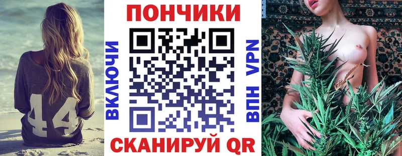как найти   shop как зайти  Каннабис гибрид  Магас 